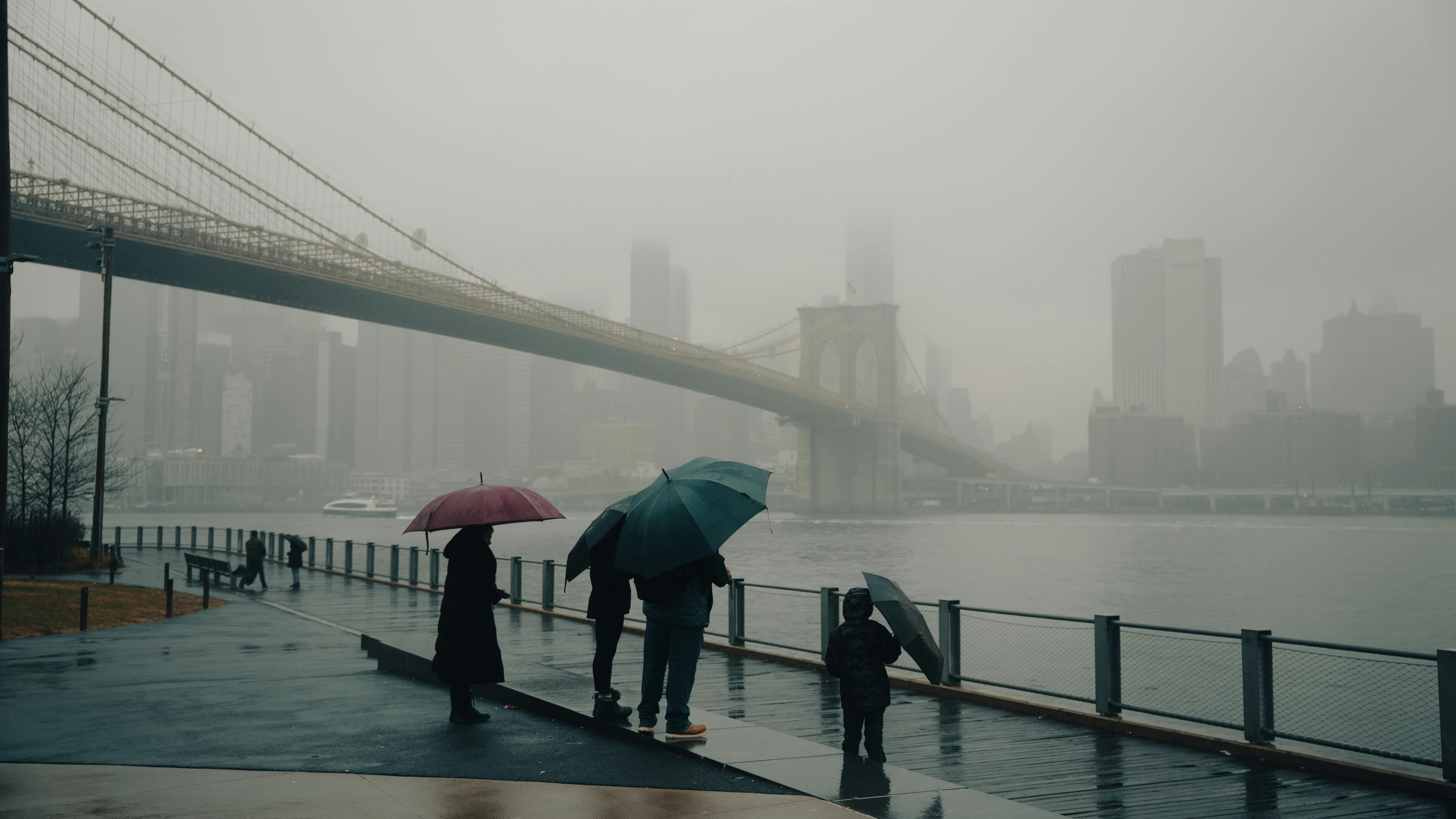 Brooklyn umbrella